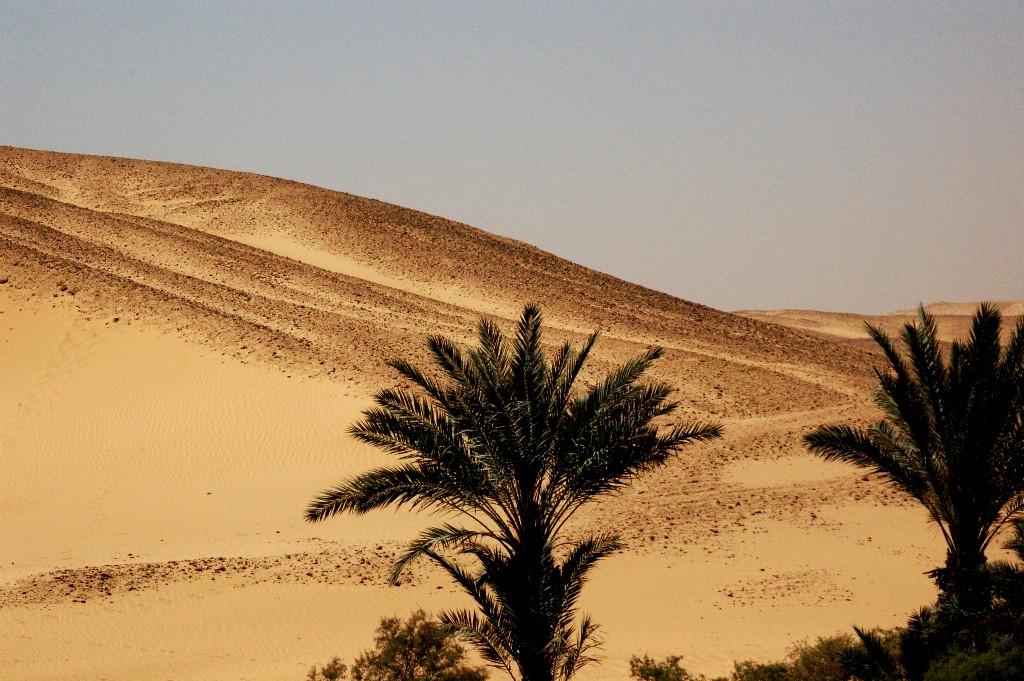 пустыня Каира