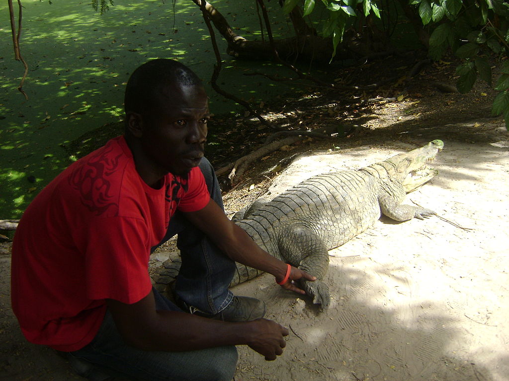 Крокодилья ферма в Гамбии