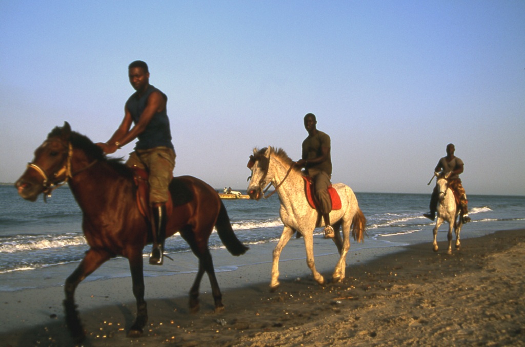 Конные прогулки в Гамбии