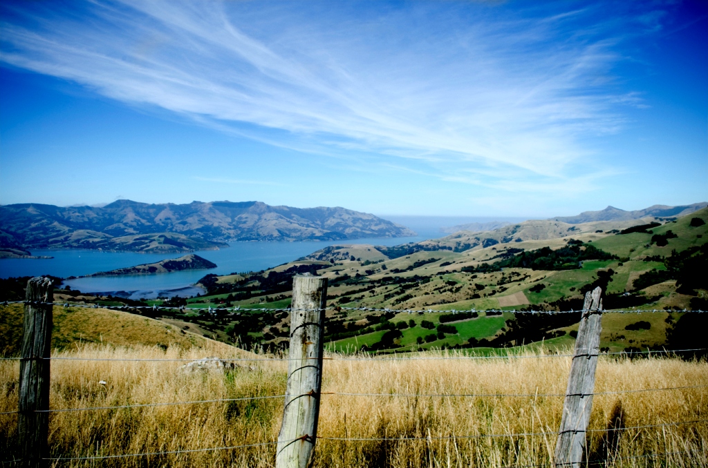 Пейзаж Новой Зеландии