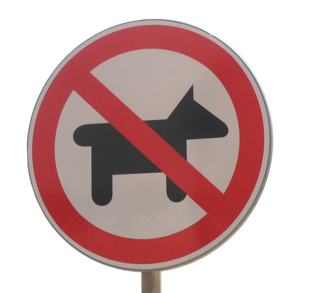 Запрет на ввоз животных в Маданг