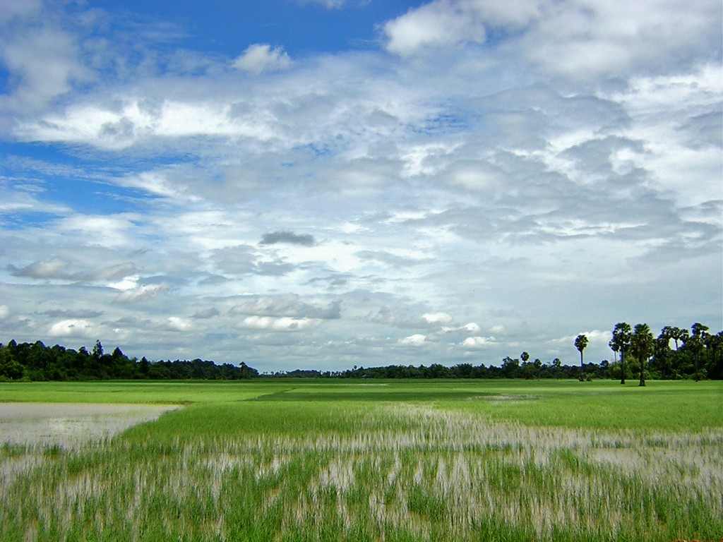 Климат и погода Пномпеня