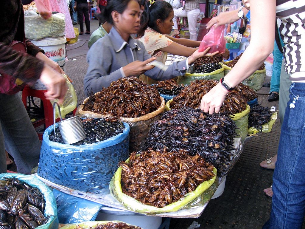 Жареные насекомые и пауки в Пномпене