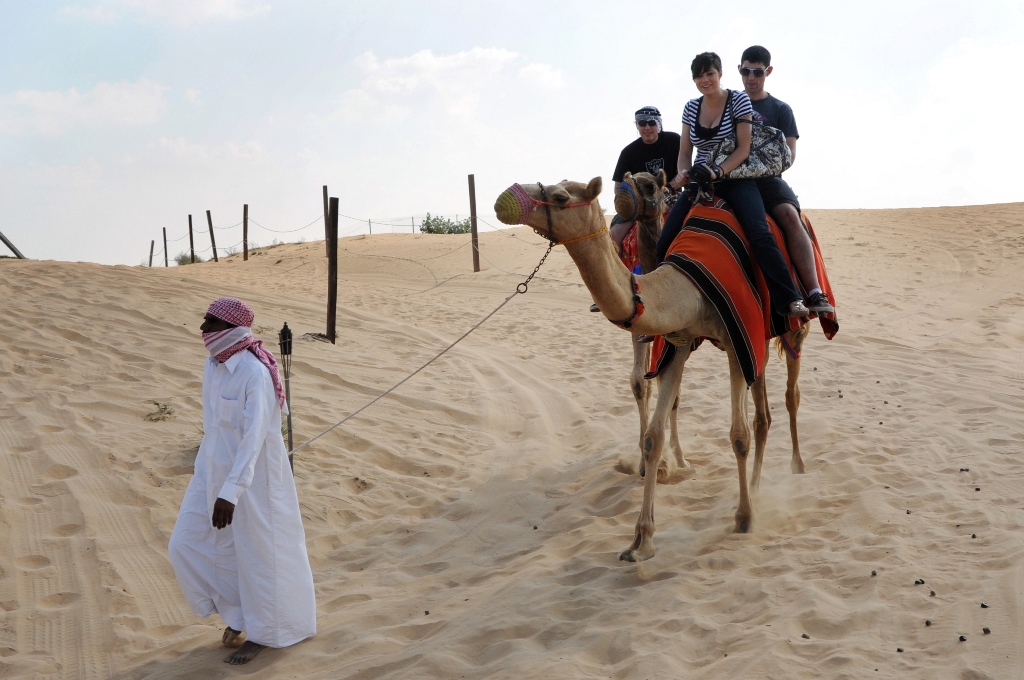 Катание на верблюде в Кувейте