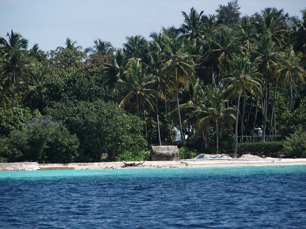Пальмы на островах атолла Адду