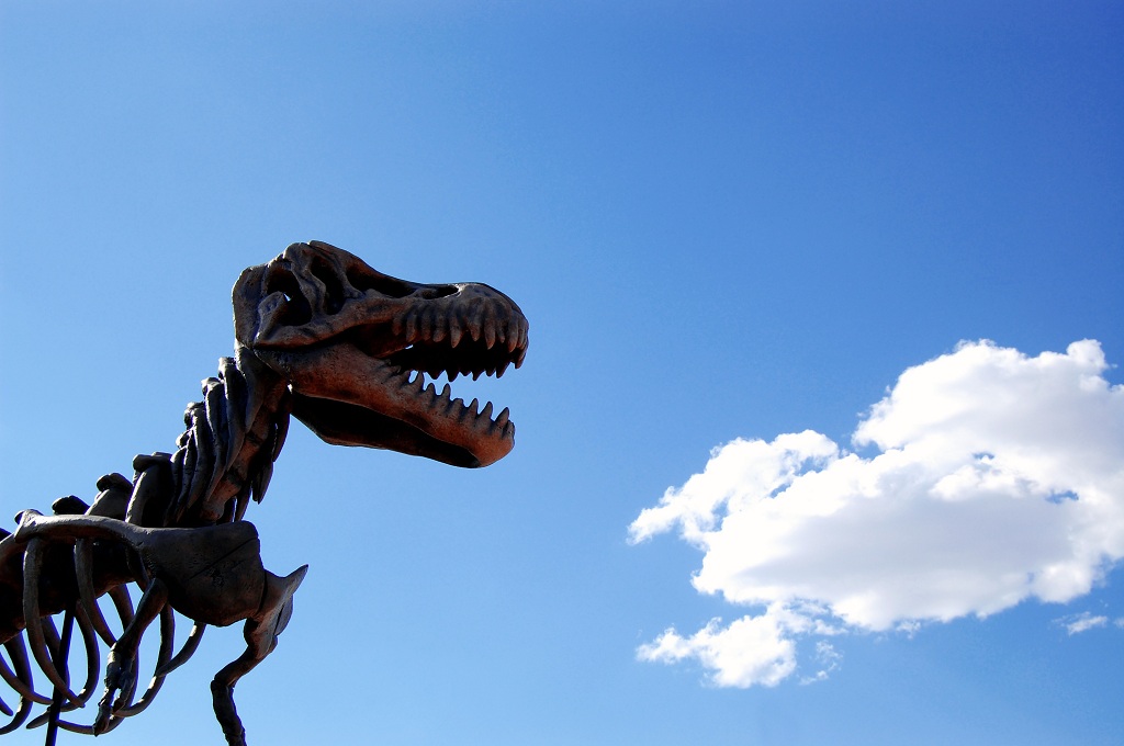 Кладбище динозавров в Улан-Баторе