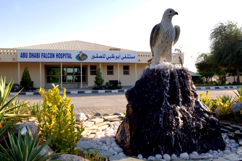 Клиника для соколов Abu Dhabi Falcon Hospital 