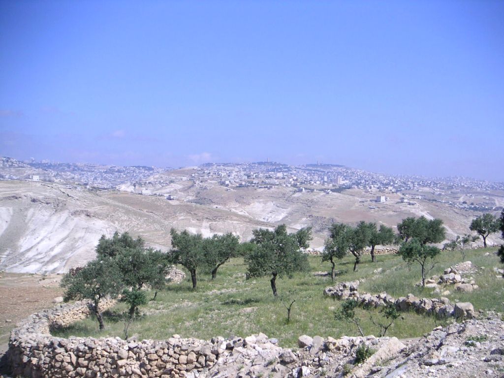 Пейзаж Палестины