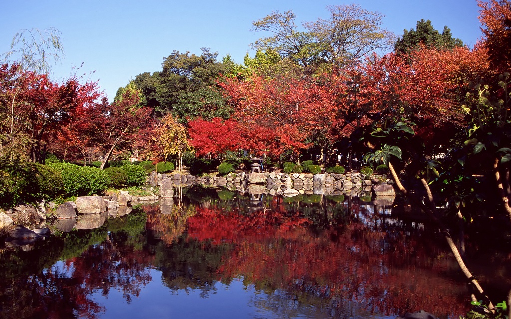 Сад в Киото