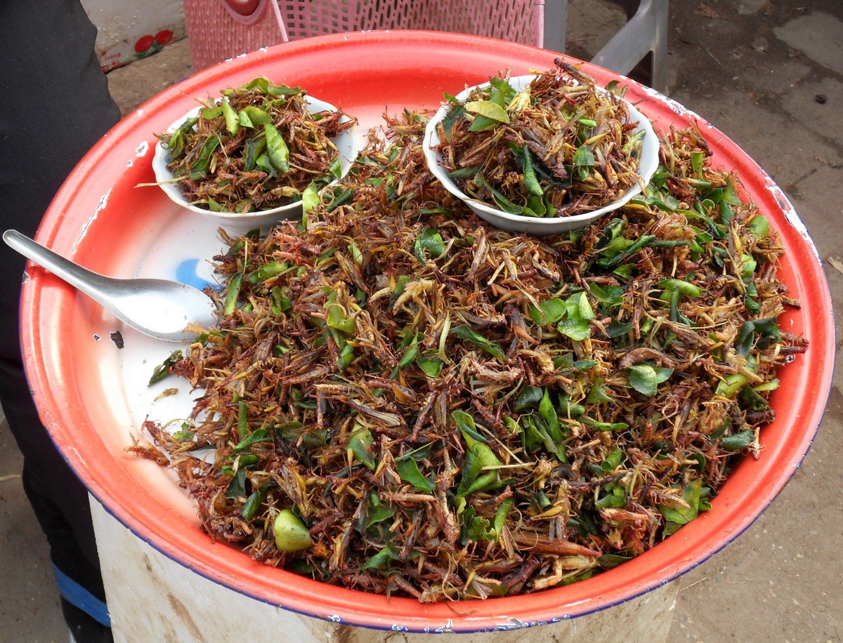 Блюда из насекомых