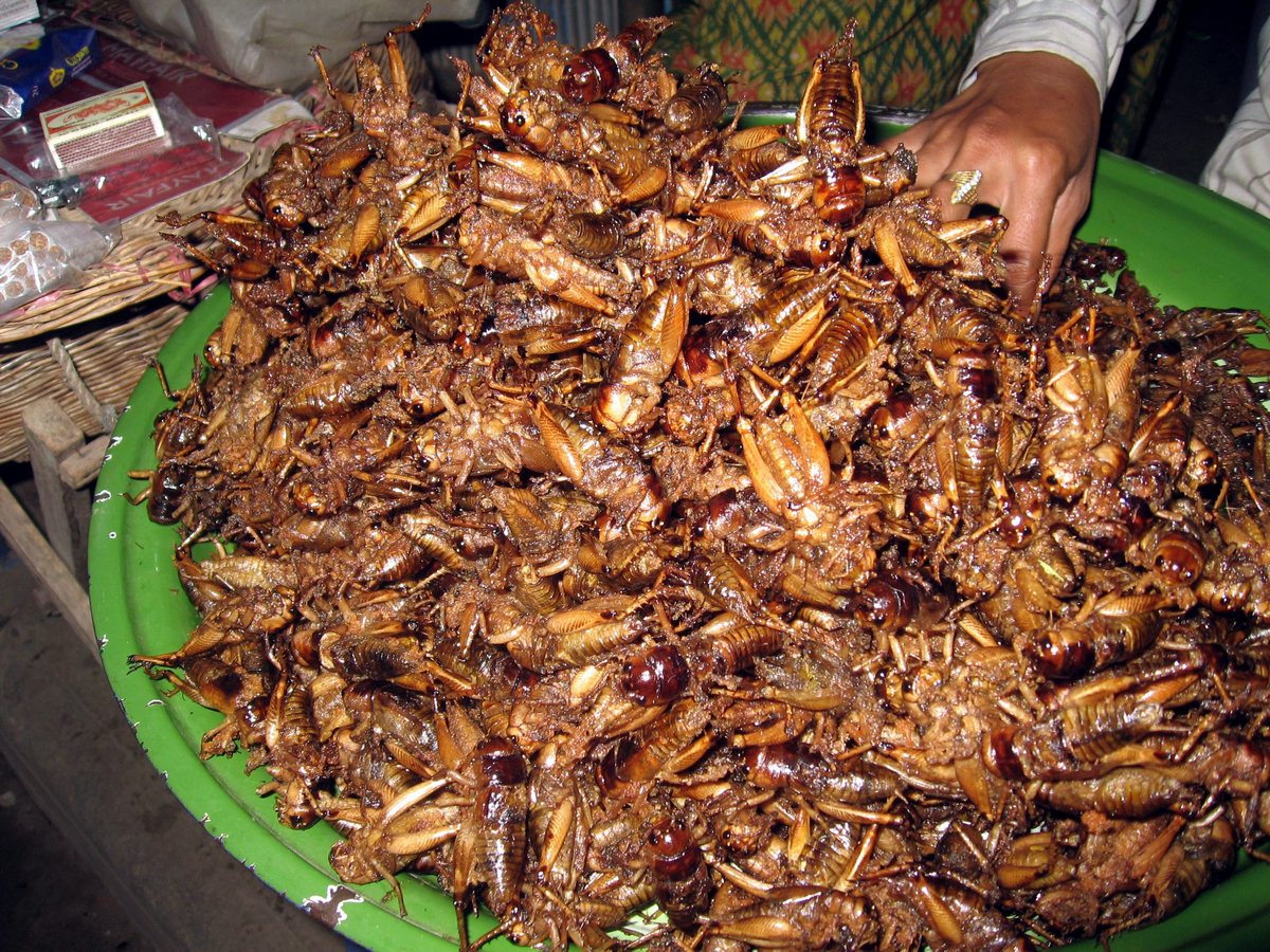 Блюда из насекомых в Камбоджии