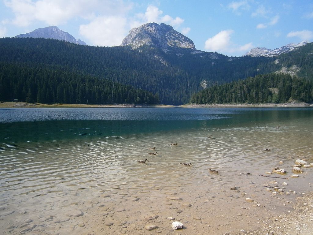Черное озеро в национальном парке Дурмитор в Черногории