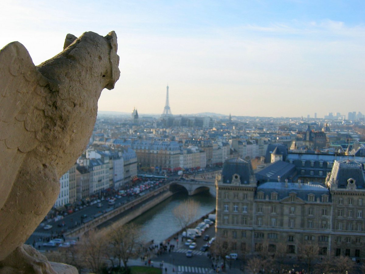 Вид на Париж с Собора Парижской богоматери