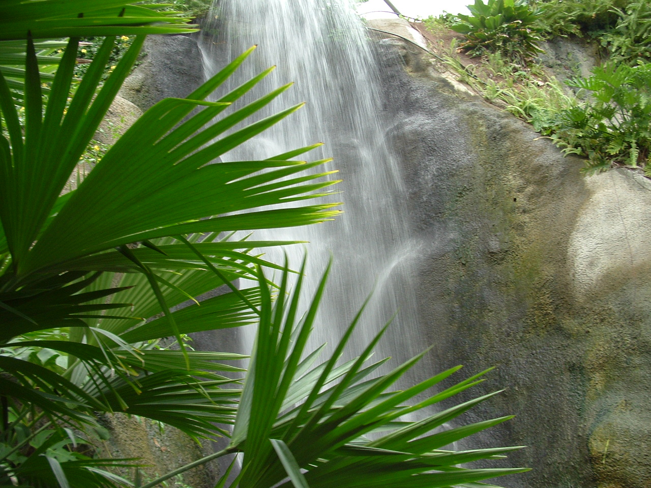 Водопад в «Эдеме»