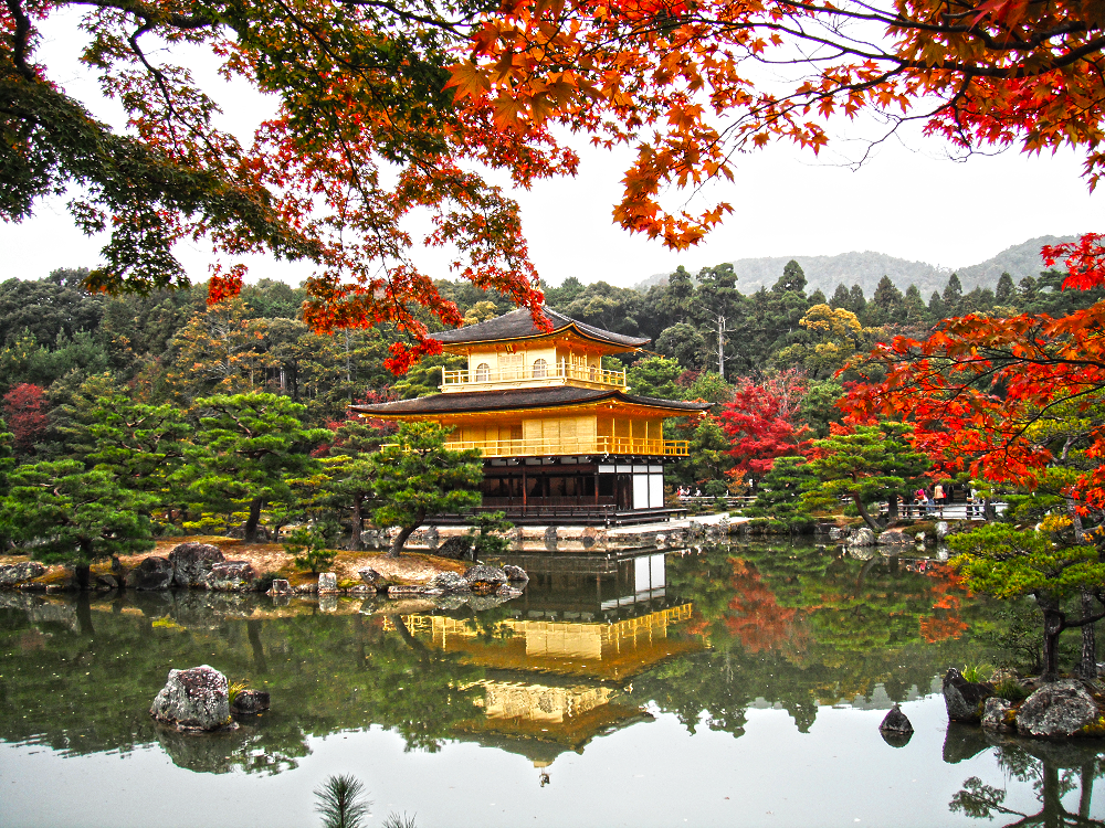 Храм Кинкаку-дзи (Золотой павильон) в Киото