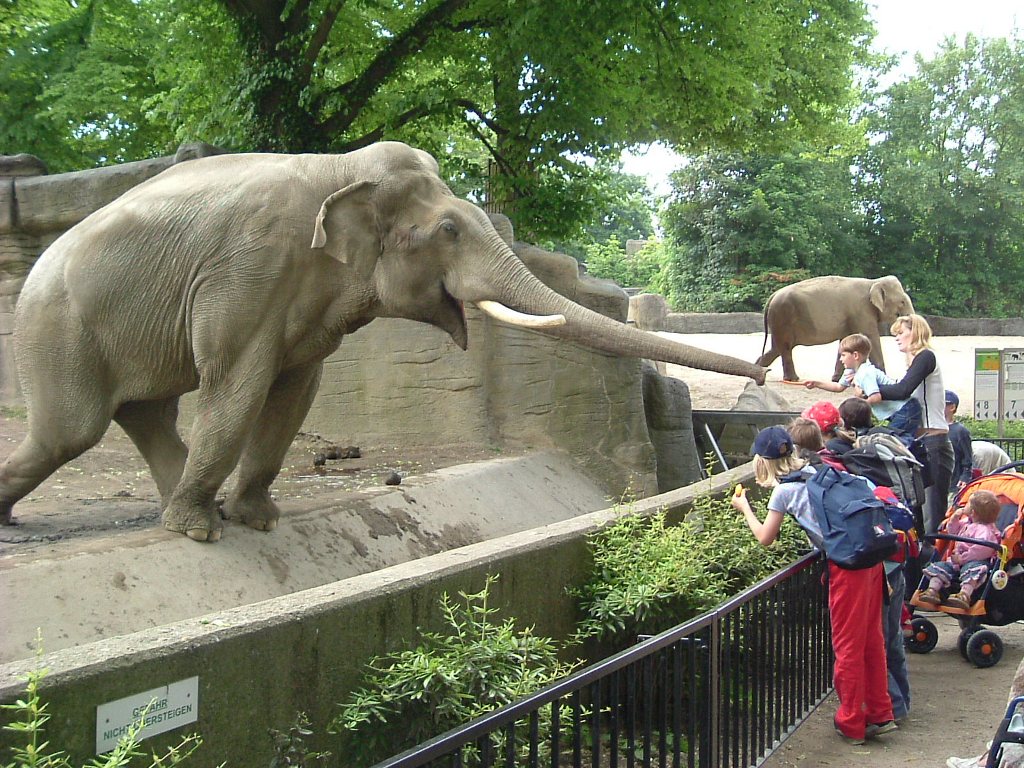 Гамбургский зоопарк Tierpark Hagenbeck