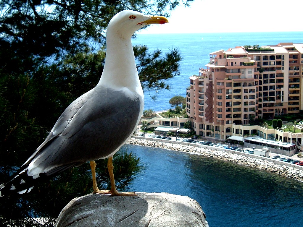 природа в Монако