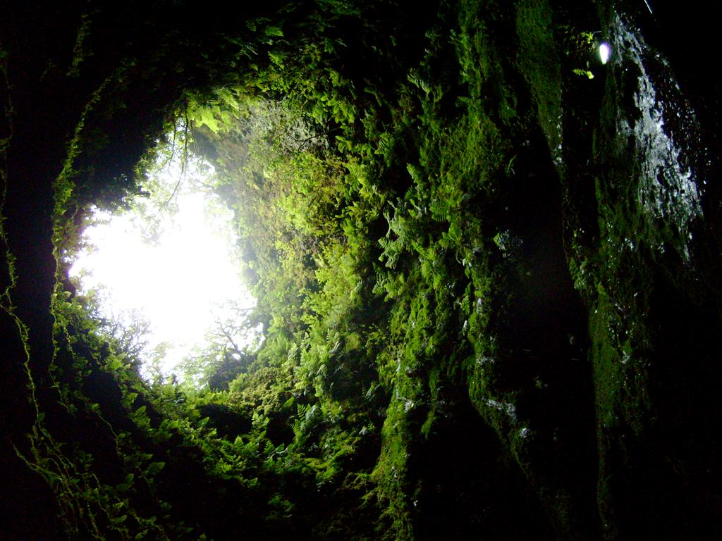 Пещеры Algar do Carvão в Ангра-ду-Эроишму