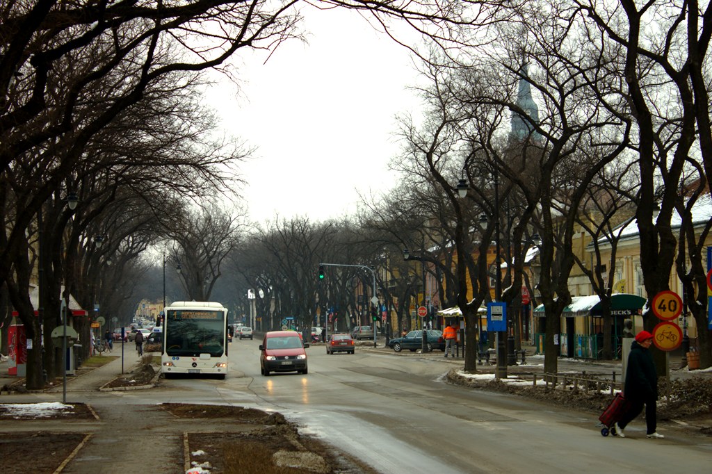 улицы Субботицы