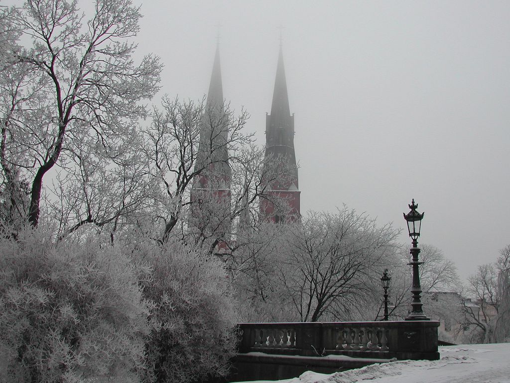 Зима в Уппсале