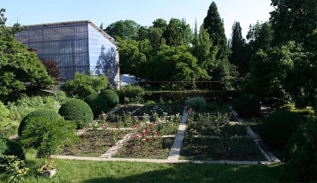 Ужгородский ботанический сад