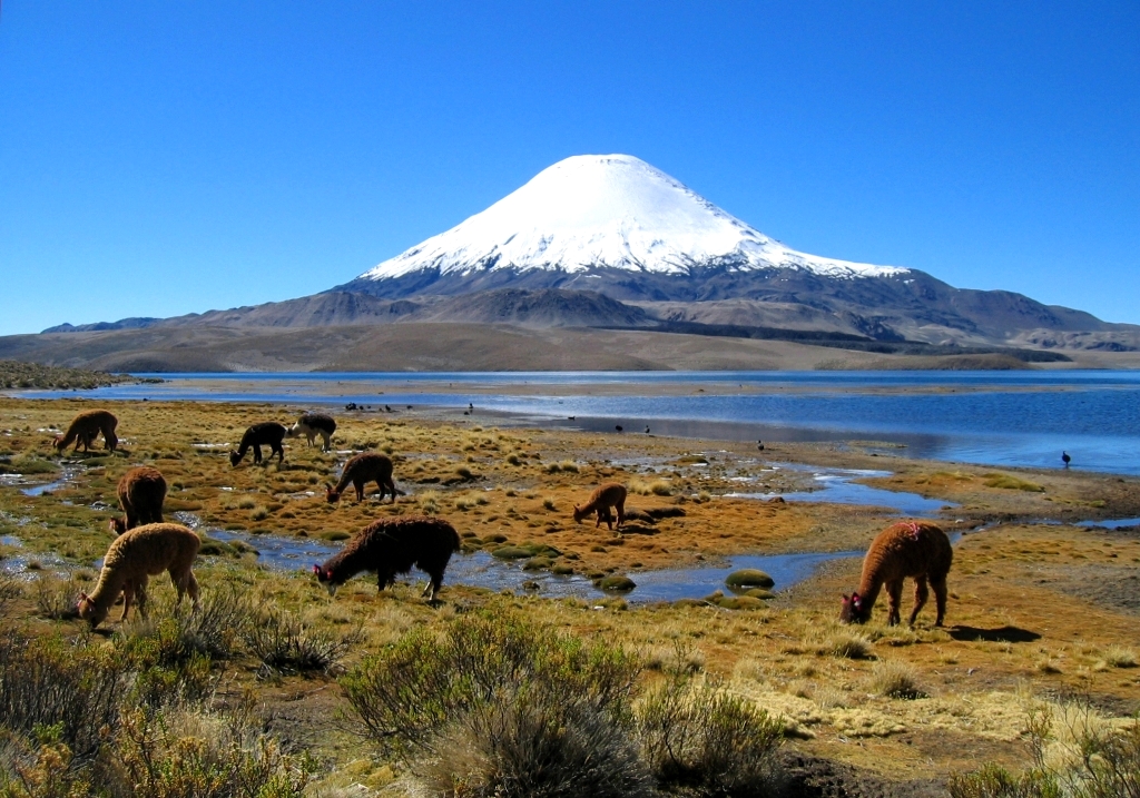 Национальный парк Лаука в Чили