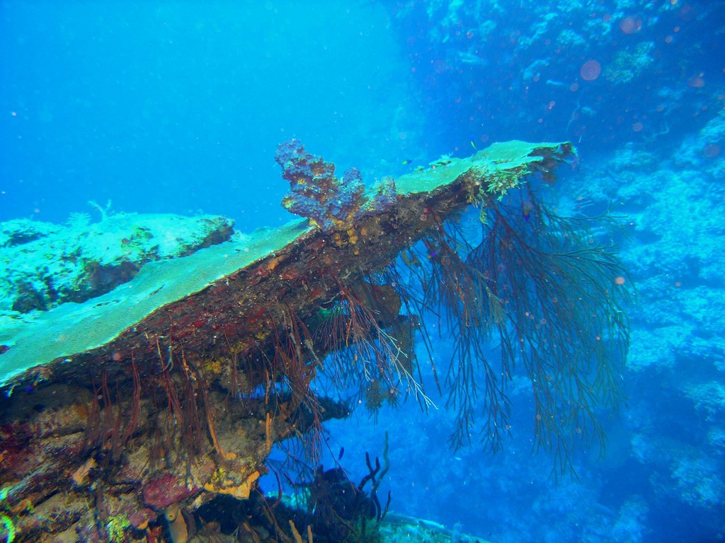 Подводный мир Картахены