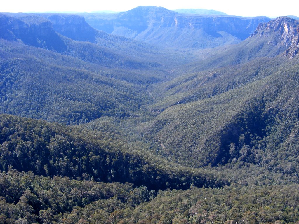 Пейзаж Голубых гор в Австралии