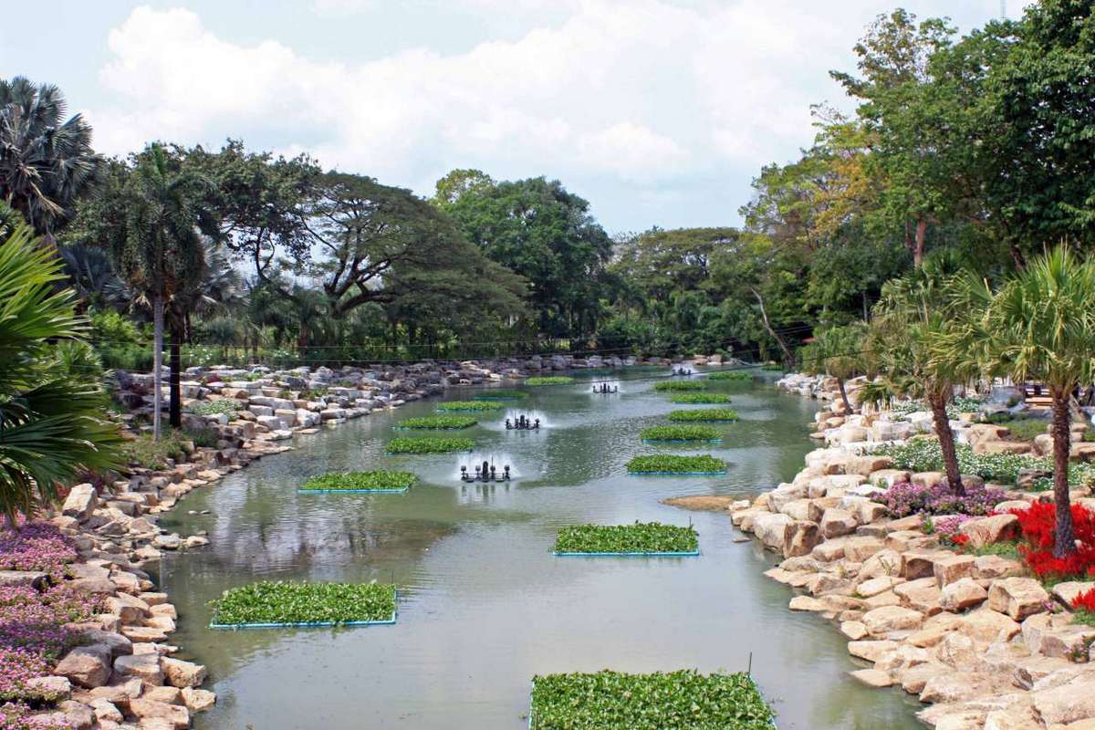 Гордость Таиланда: тропический сад «Нонг Нуч»