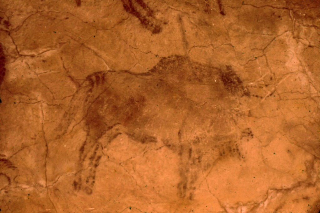 Изображение бизона в пещере Альтамира 