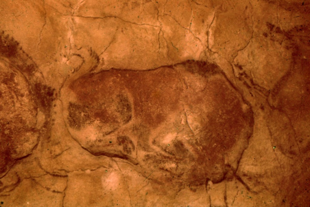Изображение бизонов в пещере Альтамира 