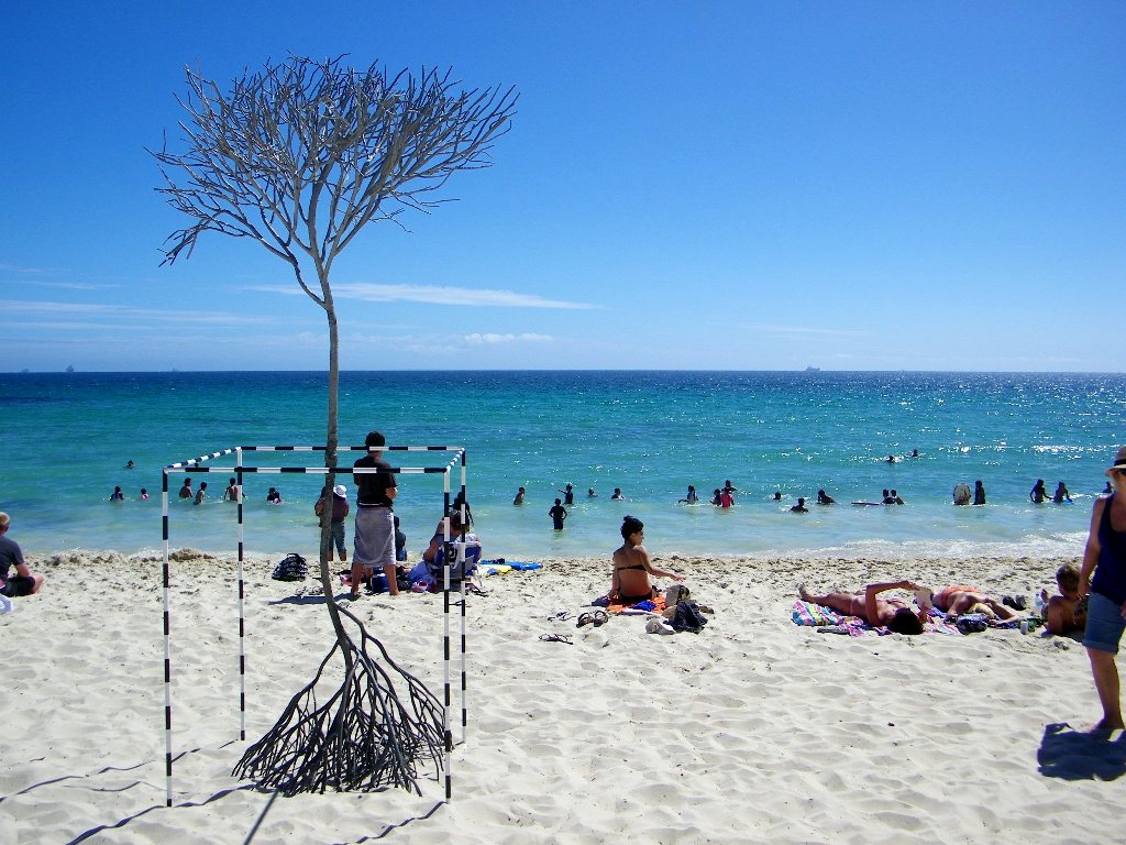 Скульптура дерева на пляже в Сиднее
