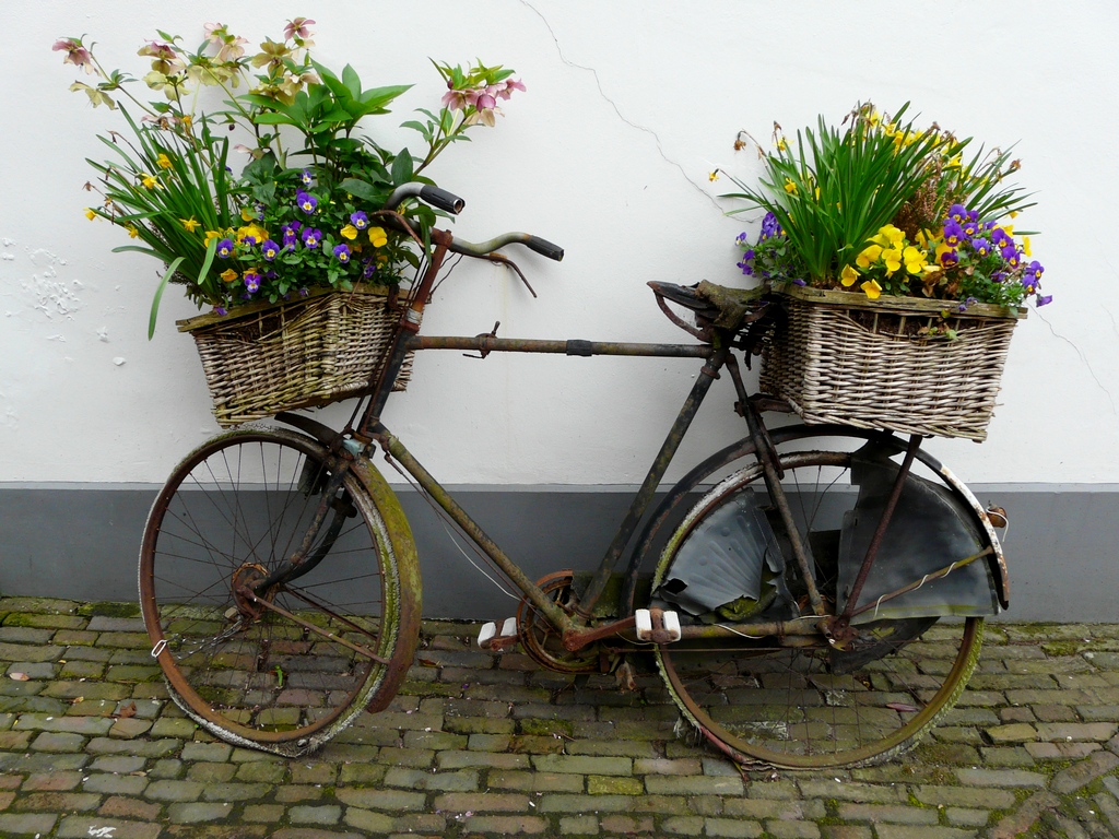 День велосипедиста в Нидерландах