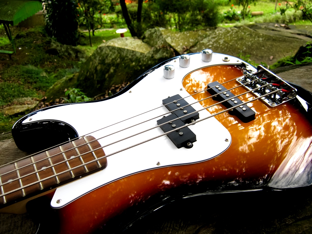 Гитара на природе. Delline Bass фото.