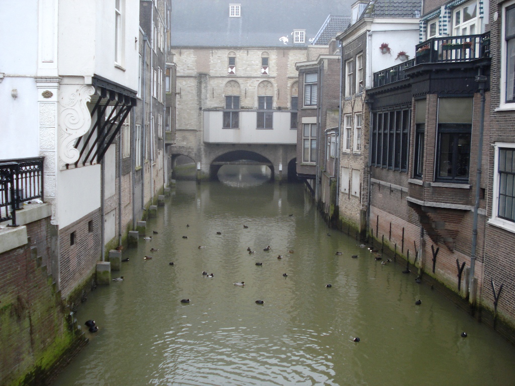 Канал в Роттердаме
