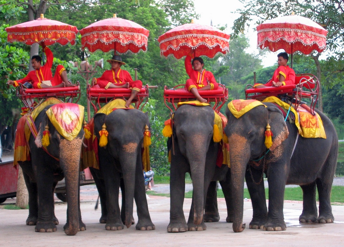 Слоны Таиланда