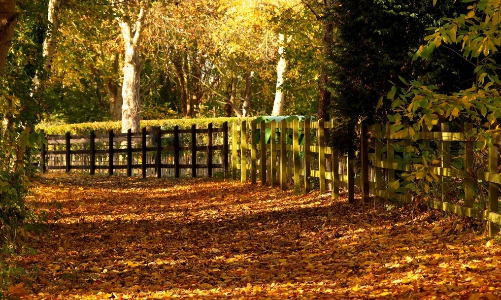 Ferry Meadows Country Park