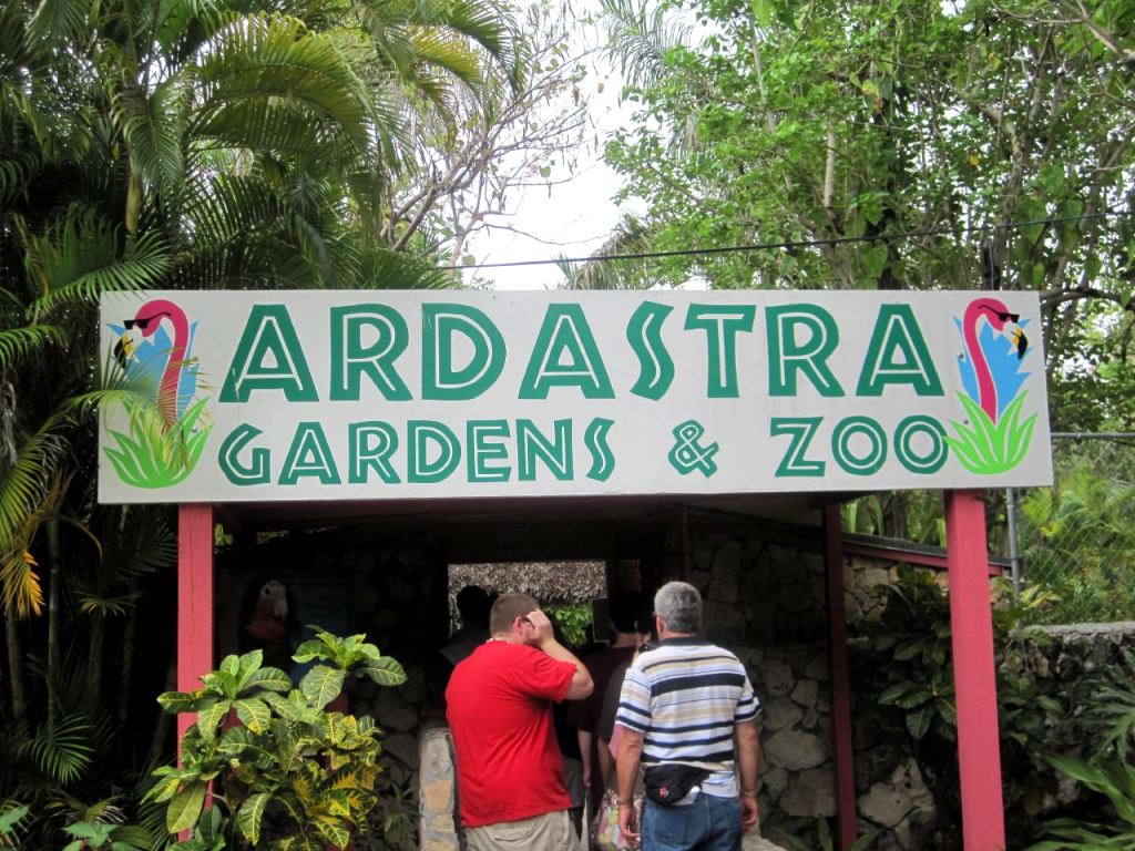 Зоопарк «Адастра гарденс» в Нассау