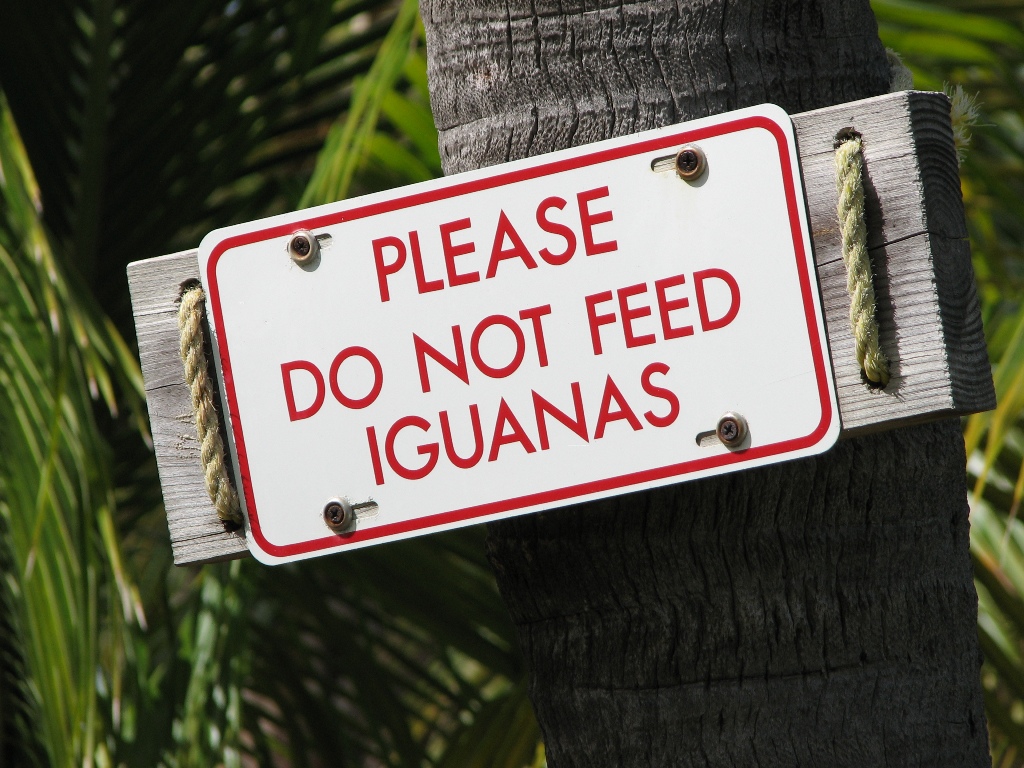 Предупреждающая табличка на Виргинских островах