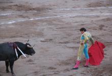 Бои быков в Мексике собираются запретить