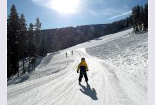 В горнолыжных школах Швейцарии будут учить бесплатно