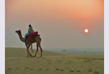 В Индии прошли верблюжьи скачки