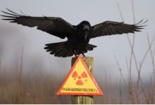 5 самых загадочных и малоизвестных радиационных катастроф