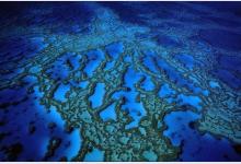 Большой Барьерный Риф ― подводное богатство Австралии